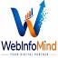 webinfomind.com