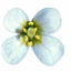 weigelworld.org