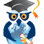 wiseglobaltraining.com