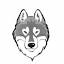 wolfinitys.com