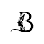 beautybcosmetics.com