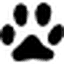 belpatt.fr