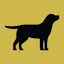 blackgoldpet.com