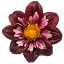 bloemenfrivoli.be