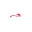 burtstikilounge.com