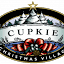christmastreevillage.com