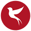 csyanwo.com