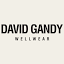 davidgandywellwear.com