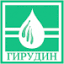 girudin.com