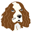 spanielaid.co.uk