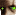 stalkerz.ru