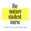 the***studentnurse.com