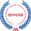 tintronics.com