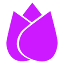 tonicblooms.com