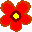 apricotweb.com