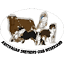 ascn.nl