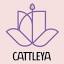 cattleyastyle.com