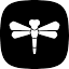 dragonfly.discourse.group