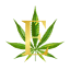 elixorcbd.com
