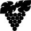 gasthoftraube.ch