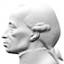 kant-online.ru