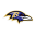 ravenssalutetoservice.com