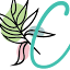 toyourhealthcoaching.com
