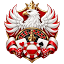 zhpwidzew.pl