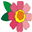 applewd.com