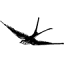 avidaportuguesa.com