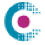 chemiqueadhesives.com