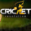 cricketrevolution.com