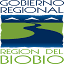 gorebiobio.cl