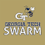 gtswarm.com