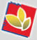 npsupermarket.com.au