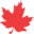 redleafpetfood.com