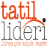 tatillideri.com
