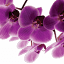 centroesteticaestibaliz.com