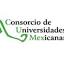 ***ex.org.mx