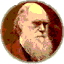 darwinawards.com
