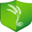 foodsurety.com