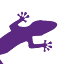 gogecko.com.au