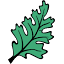 newleafcoop.co.uk