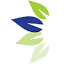 parkplacehealthsolutions.com