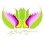 sobhemrooz.org
