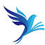 tillnews.com