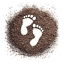ecoexplorers.com.au