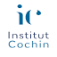 institutcochin.fr