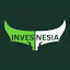 invesnesia.com
