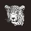 mabalingwe.co.za